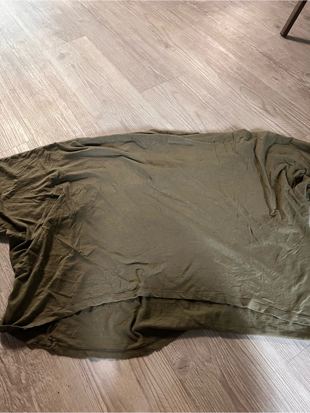 aerie Olive Short Sleeve Relaxed Fit Tee